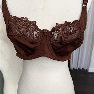 Lace-Trim Underwire Bra in Chocolate Brown